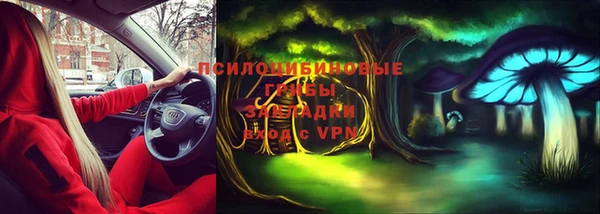 сатива Армянск