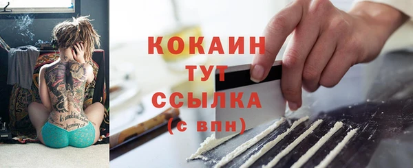 сатива Армянск