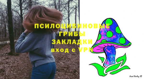 сатива Армянск