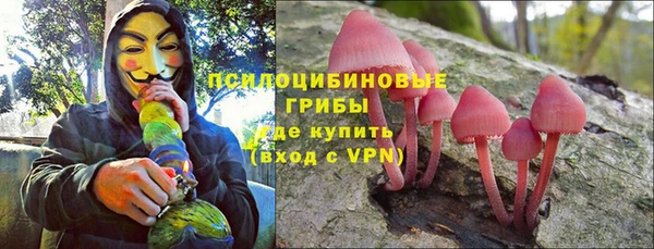 сатива Армянск