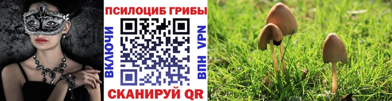 Галлюциногенные грибы ЛСД  Калач-на-Дону 