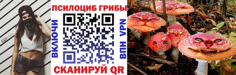 Псилоцибиновые грибы Psilocybine cubensis Калач-на-Дону