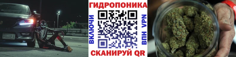 Бошки марихуана конопля  ссылка на мегу как зайти  Калач-на-Дону 