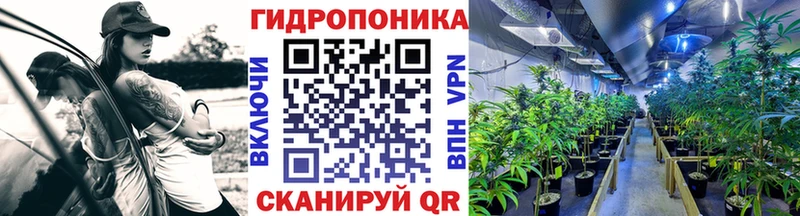 Конопля Amnesia Калач-на-Дону